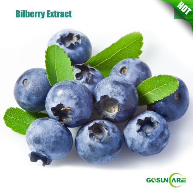 High Quality Bilberry Extract Powder