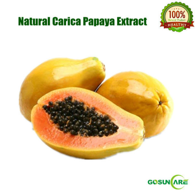 100% Natural Carica Papaya Extract (papain, papaya enzyme) 4:1,10:1,20:1
