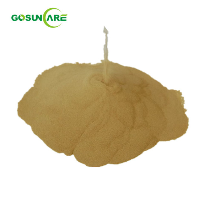 100% Natural Bacopa Monnieri Extract 10:1 20:1