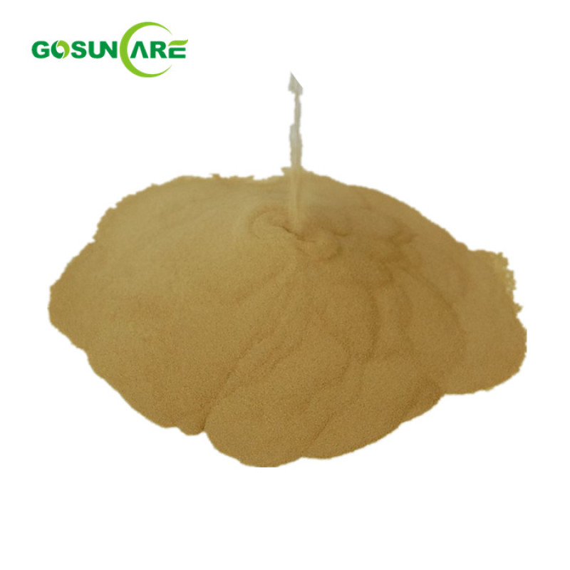 100% Natural Bacopa Monnieri Extract 10:1 20:1