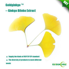 USP/EP 24/6 Ginkgo Biloba Extract Powder