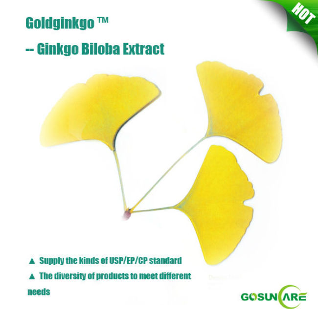 USP/EP 24/6 Ginkgo Biloba Extract Powder