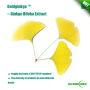 USP/EP 24/6 Ginkgo Biloba Extract Powder