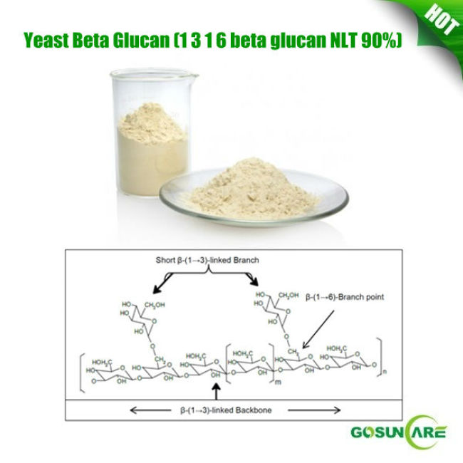 Yeast Beta Glucan (1 3 1 6 beta glucan NLT 90%)
