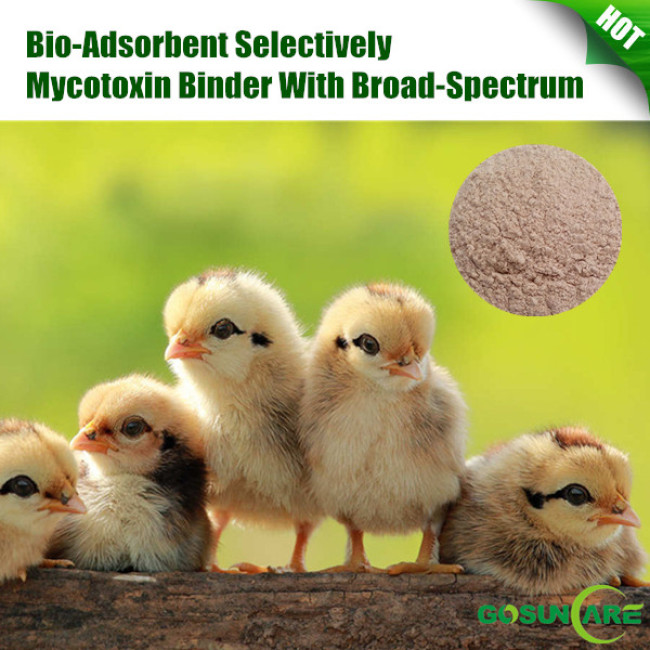 Bio-Adsorbent Selectively Mycotoxin Binder With Broad-Spectrum