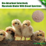 Bio-Adsorbent Selectively Mycotoxin Binder With Broad-Spectrum