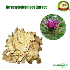 100% Natural Atractylodes Root Extract Powder 4:1, 5:1