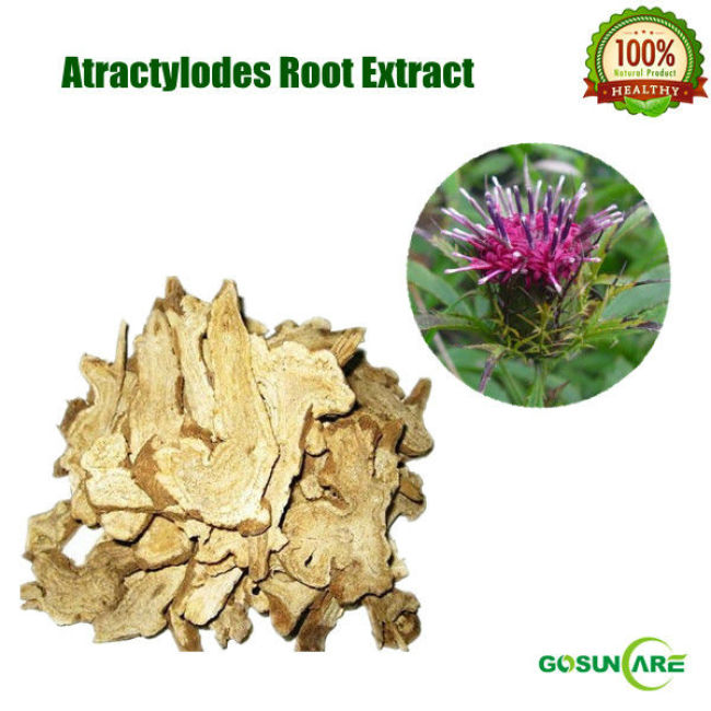 100% Natural Atractylodes Root Extract Powder 4:1, 5:1