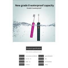 Sonic electric toothbrush