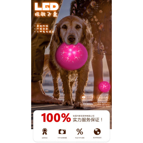 Disque volant LED pour animaux de compagnie