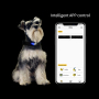 Светодиодный дисплей DIY Модный ошейник для собак