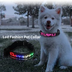 Collar de perro de moda DIY con pantalla LED