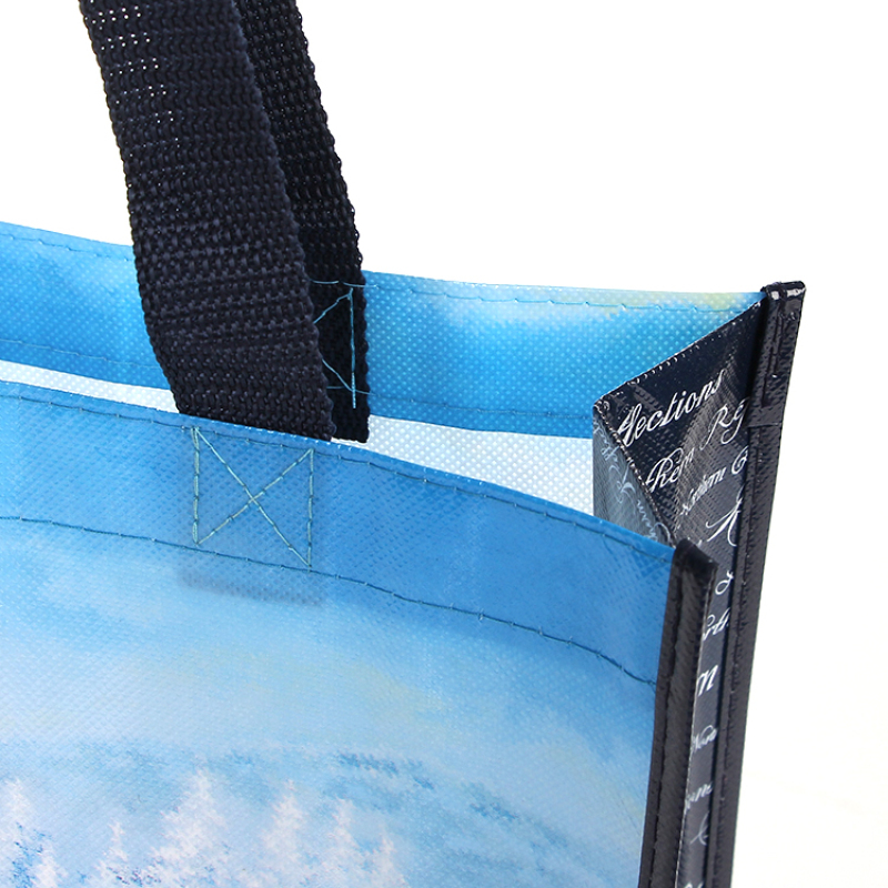 Wholesale Custom Printed Eco Friendly Recycle Reusable Grocery PP Laminated Non Woven Fabric Tote Shopping Bags