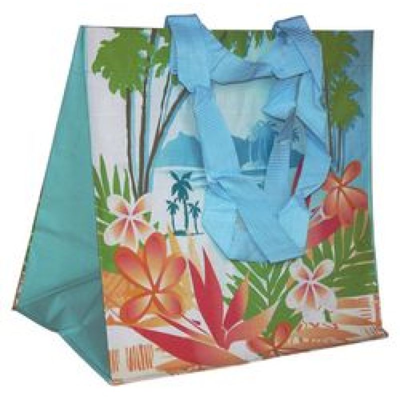 Custom Design Reusable Tote Bag China Suppliers Polypropylene Pp Woven Fabric Laminated Shopping Bag With Logo