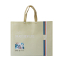 Promotional Waterproof Foldable Laminated PP Non Woven Bag Shopping Tote Bag