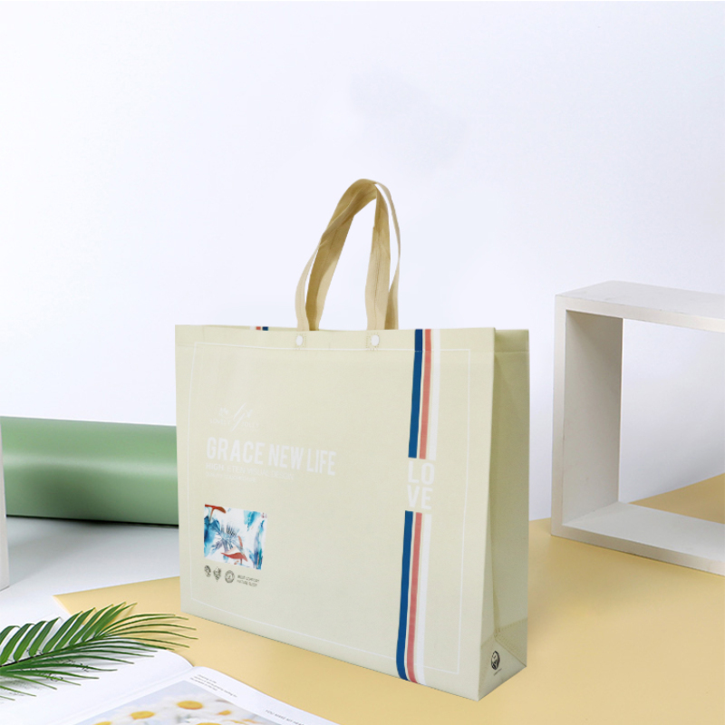Promotional Waterproof Foldable Laminated PP Non Woven Bag Shopping Tote Bag