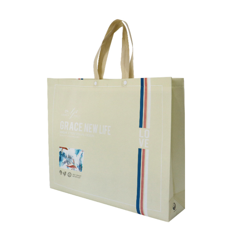 Promotional Waterproof Foldable Laminated PP Non Woven Bag Shopping Tote Bag