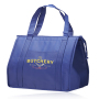 Wholesale Preimum Non-woven Aluminum Film Insulated Cooler Bag Custom Logo Thermal Cooler Bag