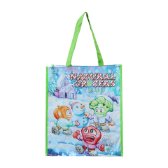 2022 Hot Sale custom logo printed eco friendly durable handled laminated pp woven shopping bag