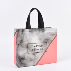 Wholesale portable eco friendly pp laminated non woven fabric shopping bag with logo