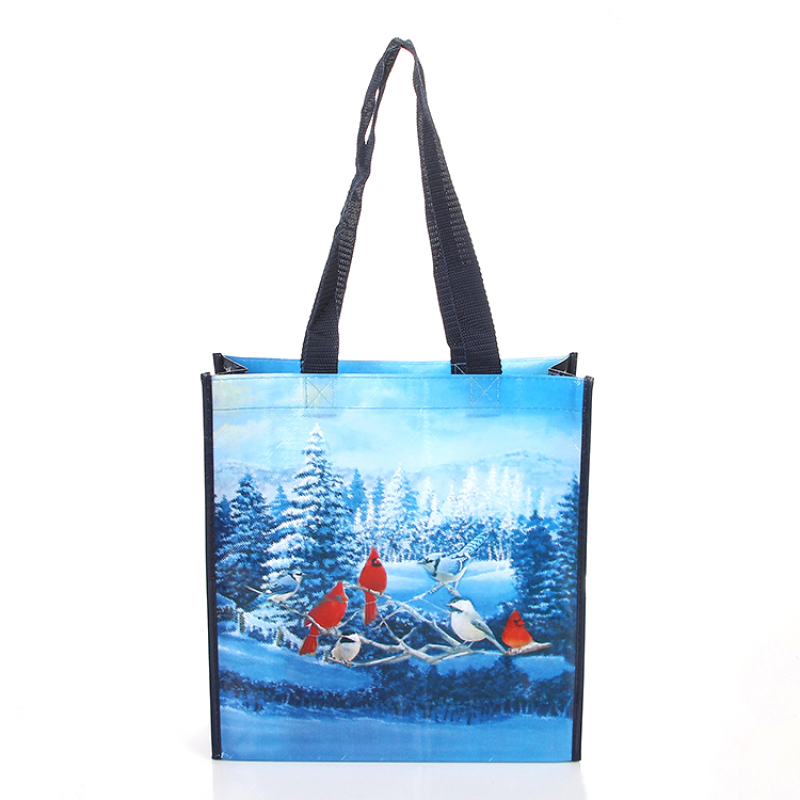 high quality eco friendly laminated reusable printable logo non woven shopping tote bag