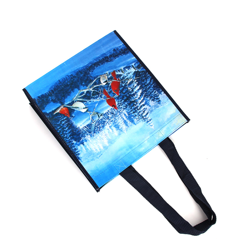 high quality eco friendly laminated reusable printable logo non woven shopping tote bag