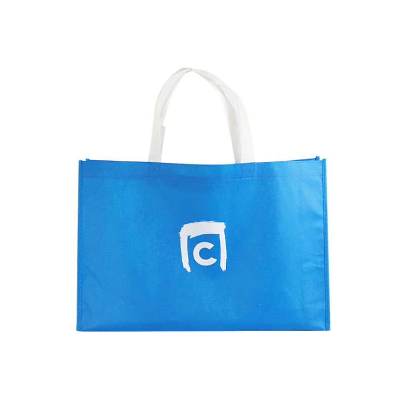 2021 New Custom Logo Printed Promotional Blue Pp Non Woven Bag Reusable Carry Shopping Tote Non Woven Bag