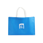 2021 New Custom Logo Printed Promotional Blue Pp Non Woven Bag Reusable Carry Shopping Tote Non Woven Bag