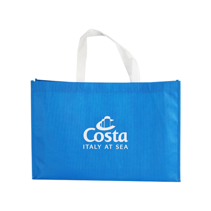2021 New Custom Logo Printed Promotional Blue Pp Non Woven Bag Reusable Carry Shopping Tote Non Woven Bag
