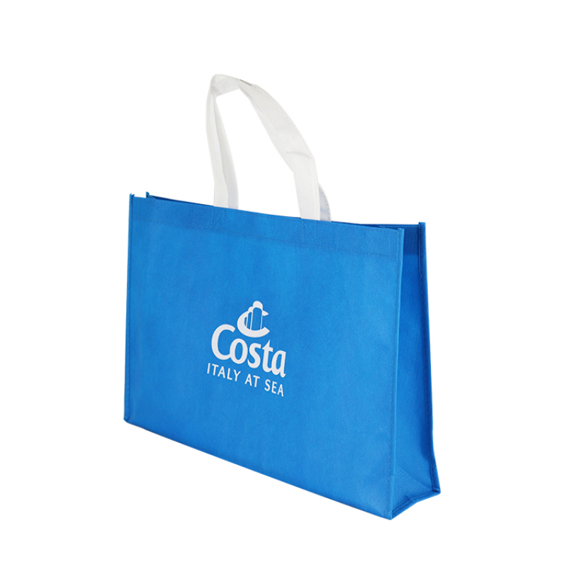 2021 New Custom Logo Printed Promotional Blue Pp Non Woven Bag Reusable Carry Shopping Tote Non Woven Bag