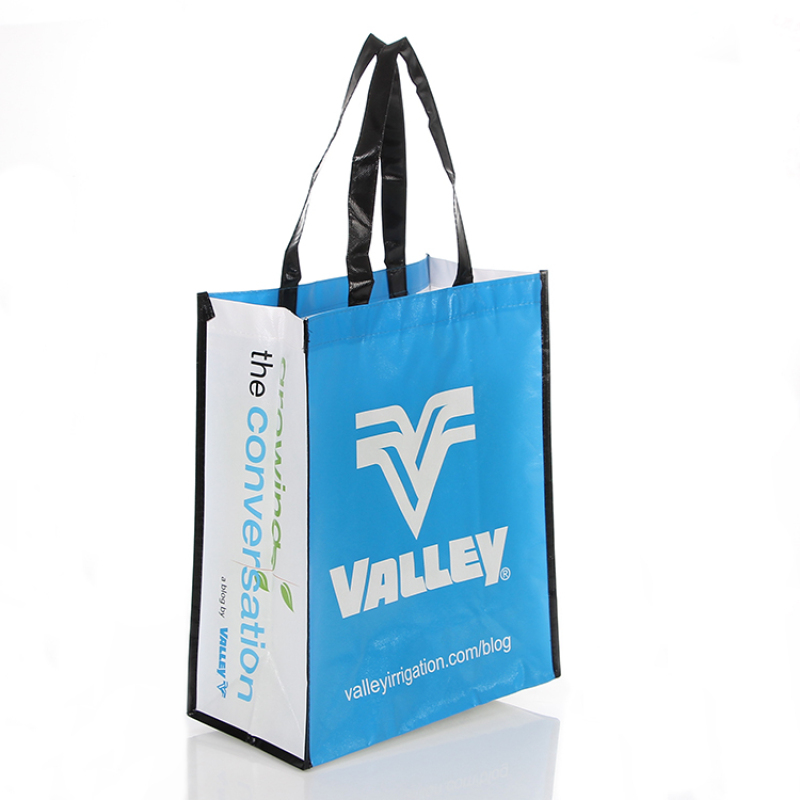 custom non-woven polypropylene bag reusable non woven polupropylene bags