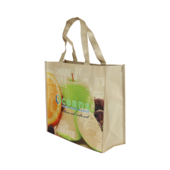 High Quality Eco Custom Printed Logo Reusable Grocery RPET PP Non-Woven Shopping Bags 120gsm 140gsm PP Woven Bag