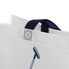 Zhejiang wenzhou factory good quality custom design reusable recyclable eco non woven bags PP laminated non woven bag