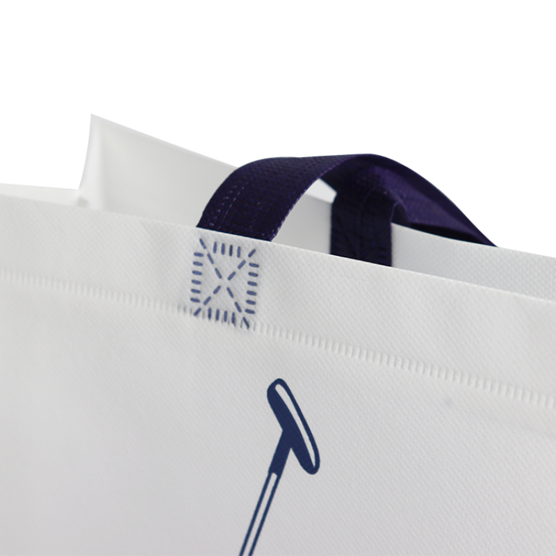 Zhejiang wenzhou factory good quality custom design reusable recyclable eco non woven bags PP laminated non woven bag