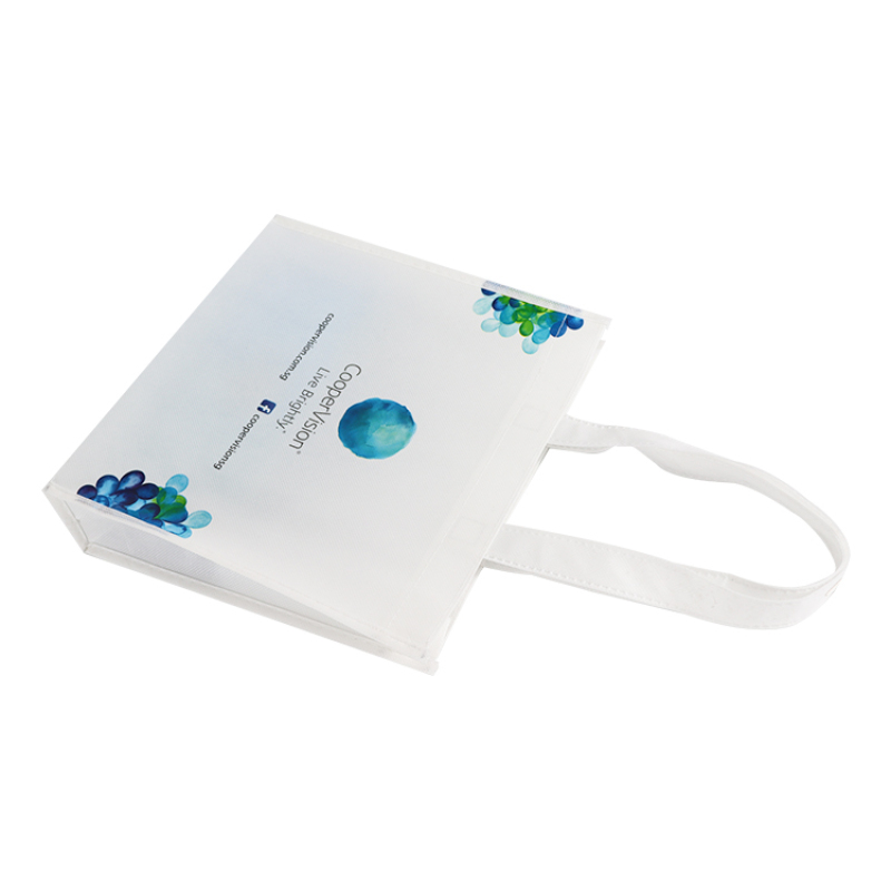 Zhejiang wenzhou factory good quality custom design reusable recyclable eco non woven bags PP laminated non woven bag