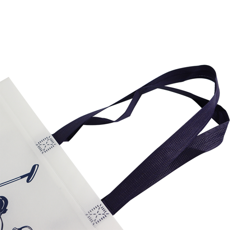 Zhejiang wenzhou factory good quality custom design reusable recyclable eco non woven bags PP laminated non woven bag