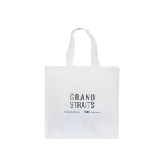 Zhejiang wenzhou factory good quality custom design reusable recyclable eco non woven bags PP laminated non woven bag