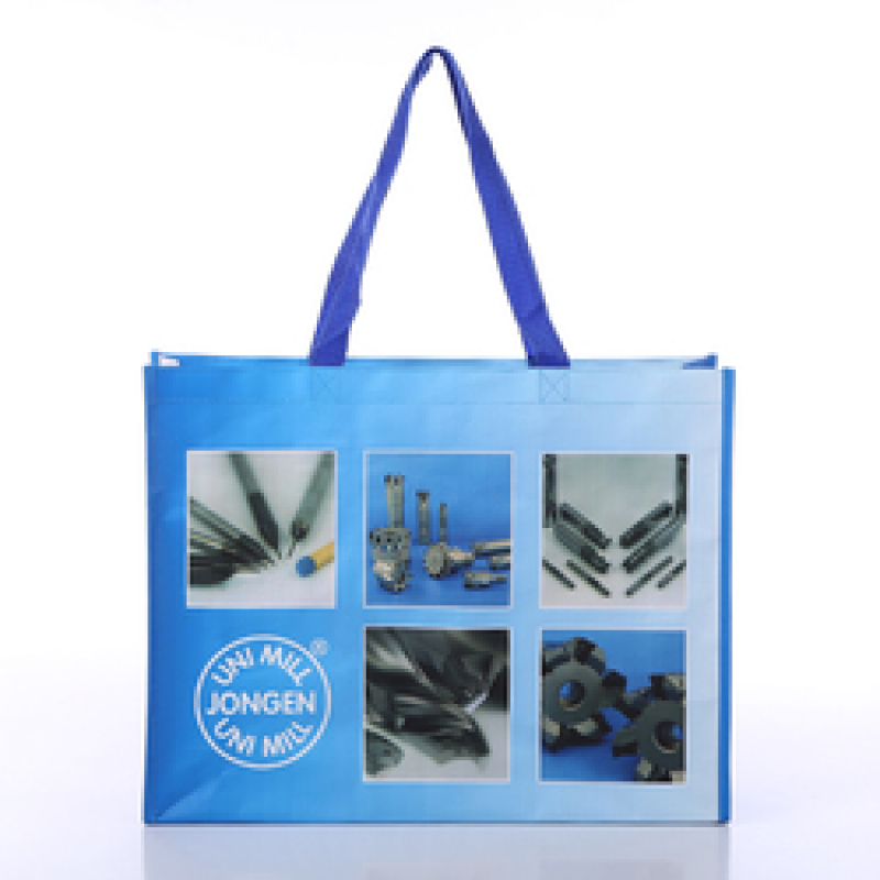 Pp Woven Bag Woven  Printed Laminated Shopping Bag