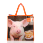 Advertising custom printing eco friendly reusable non woven laminated shopping bags