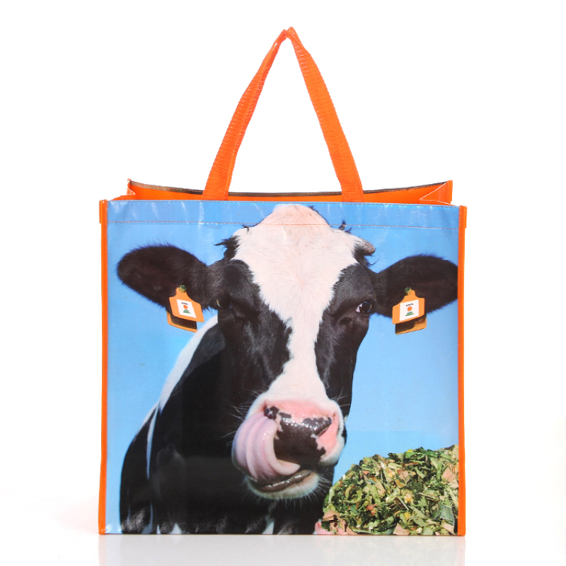 Advertising custom printing eco friendly reusable non woven laminated shopping bags