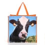 Advertising custom printing eco friendly reusable non woven laminated shopping bags