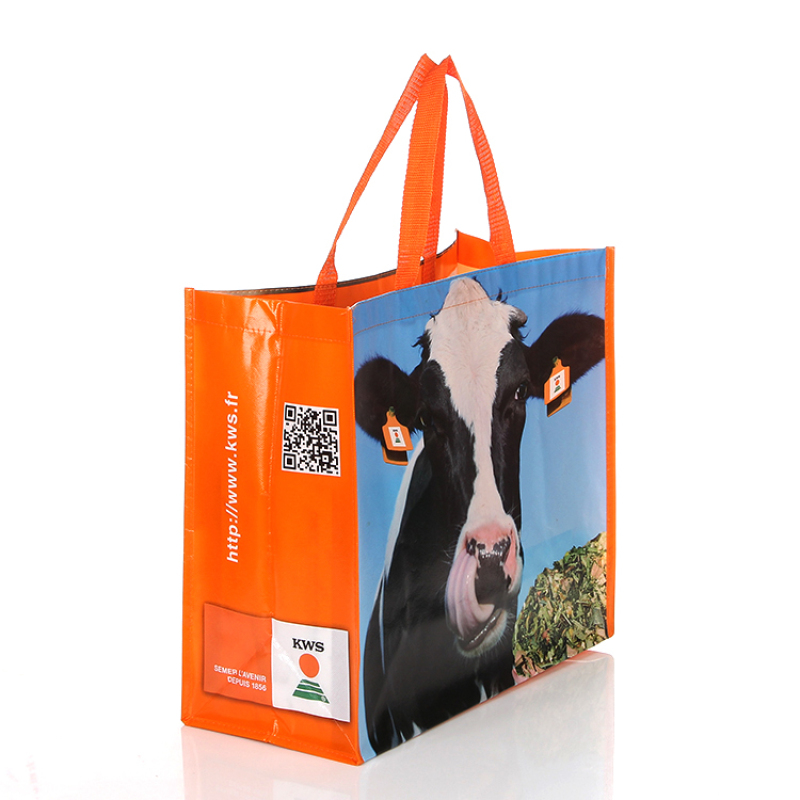 Advertising custom printing eco friendly reusable non woven laminated shopping bags