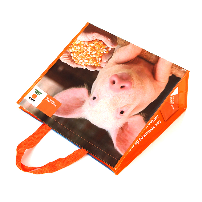 Advertising custom printing eco friendly reusable non woven laminated shopping bags