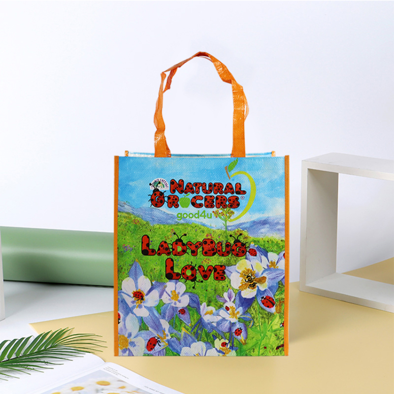 Promotional Waterproof Reusable Custom Design Laminated PP Woven Grocery Shopping Tote Bag