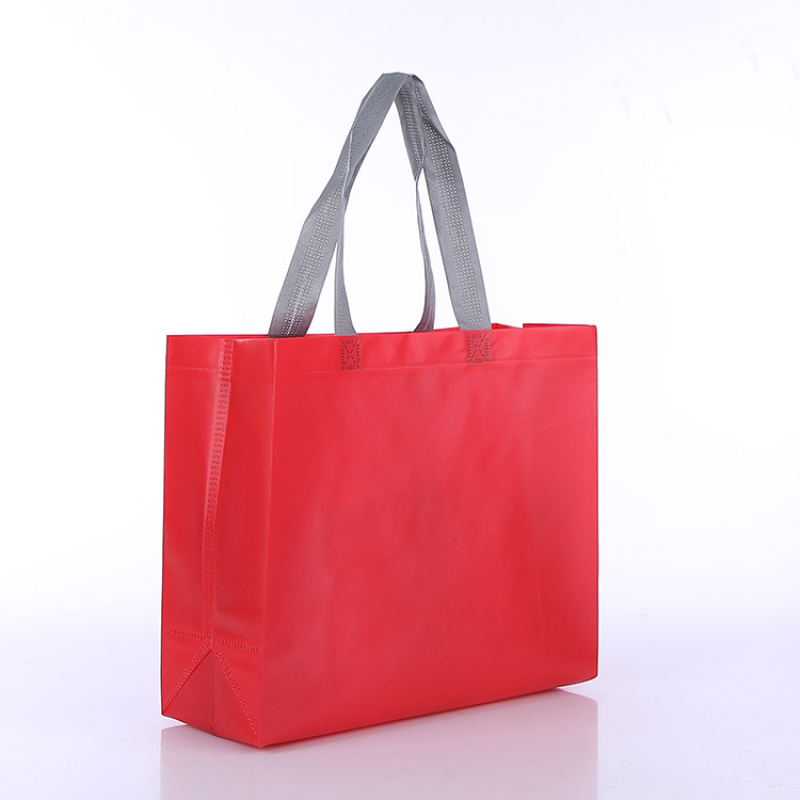 Free Sample Recycle Tote Bag Shopping Bag Non Woven Fabric Bag