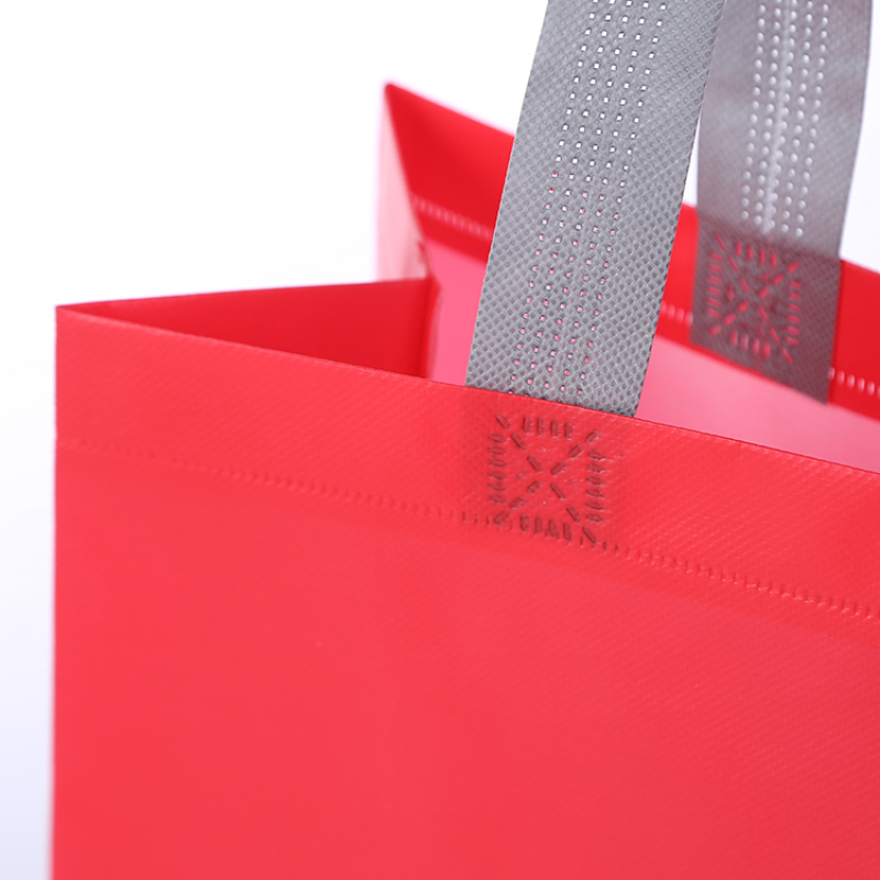 Free Sample Recycle Tote Bag Shopping Bag Non Woven Fabric Bag