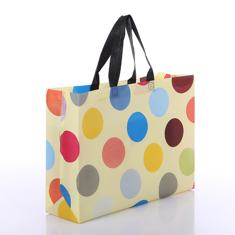 Free Sample Recycle Tote Bag Shopping Bag Non Woven Fabric Bag