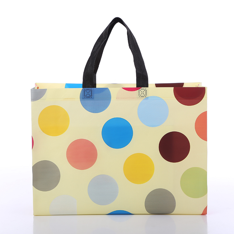 Free Sample Recycle Tote Bag Shopping Bag Non Woven Fabric Bag