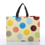Free Sample Recycle Tote Bag Shopping Bag Non Woven Fabric Bag