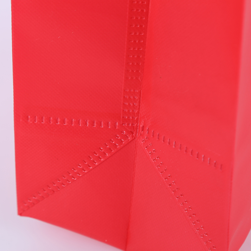 Free Sample Recycle Tote Bag Shopping Bag Non Woven Fabric Bag